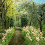 printemps jardin fleurs